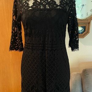 Taylor black lace dress knee length